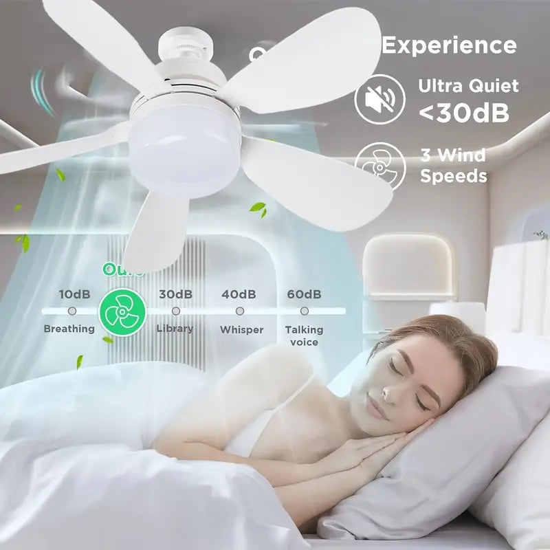 Detachable Fan light, Remote control ceiling light with fan