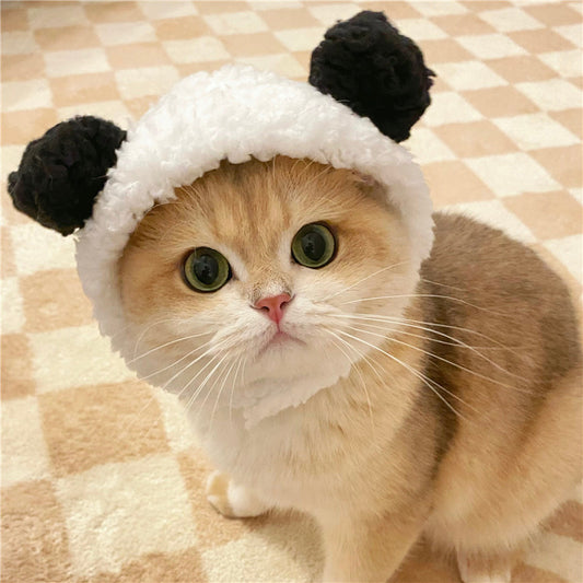 Cat hat